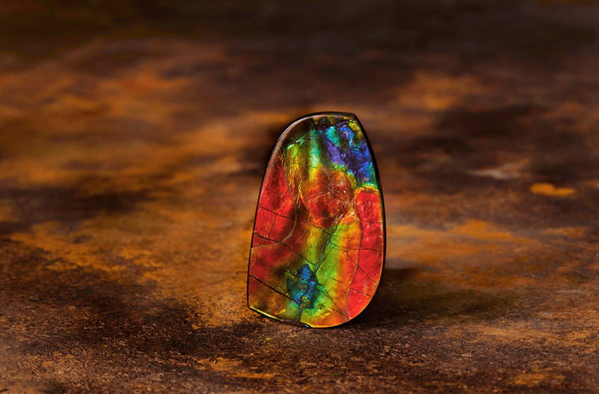 KORITE Ammolite Image