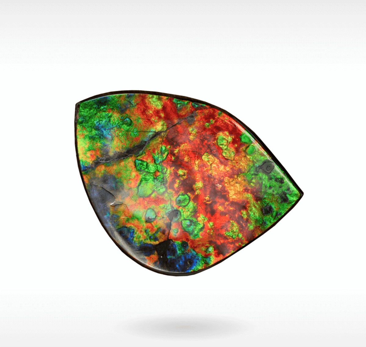 KORITE Ammolite Image