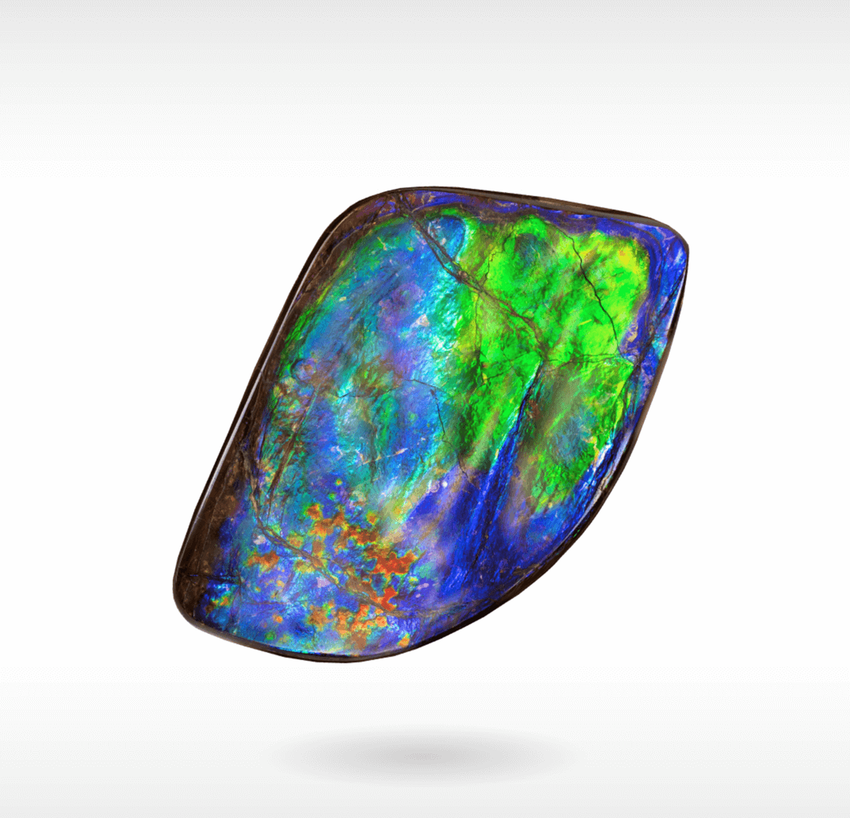 KORITE Ammolite Image