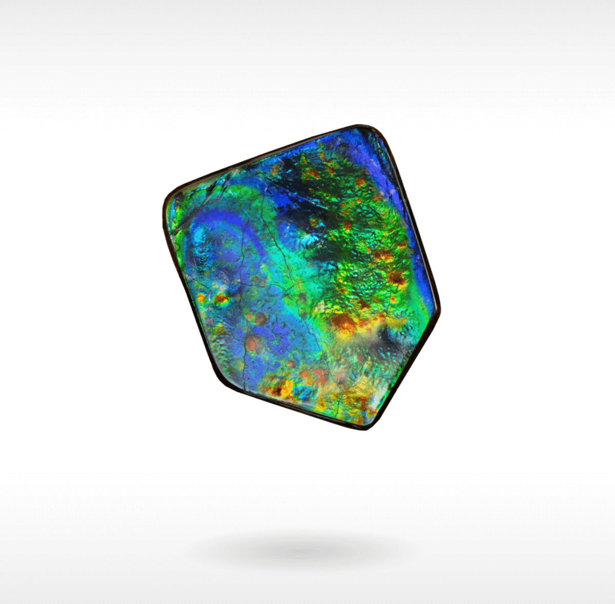 KORITE Ammolite Image